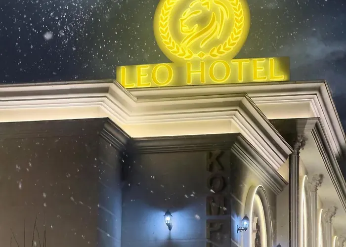 Отель Leo *